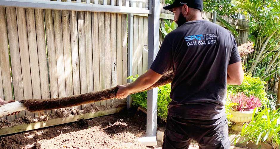 Blocked Pipes? How Tree Roots in Drains Could Be the Culprit Image